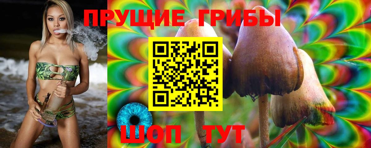 Псилоцибиновые грибы мухоморы Солнечногорск