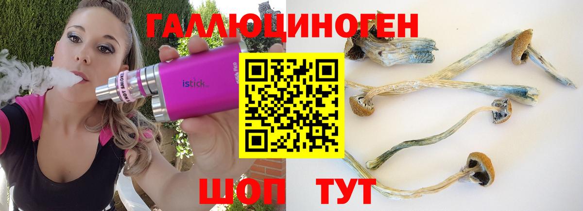 Псилоцибиновые грибы MAGIC MUSHROOMS  цены наркотик  Солнечногорск  Вход с VPN 