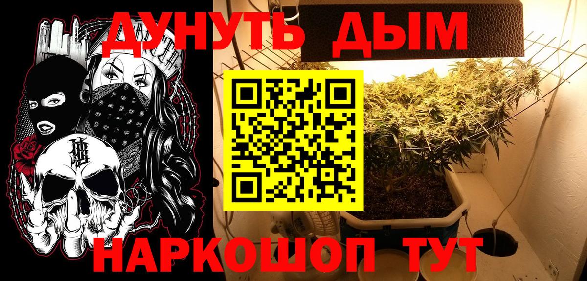 Каннабис OG Kush  Вход с VPN  Бошки Шишки марихуана  Шишки марихуана гибрид  Солнечногорск 